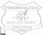 Emblema de Bruk-Bet Termalica Nieciecza Klub Sportowy, club de fútbol con sede en Nieciecza, pueblo del sureste de Polonia en el Voivodato de Pequeña Polonia, situado a más de 60 km al este de Cracovia