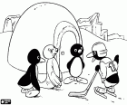 El pingüino Pingu y sus amigos cerca del iglú