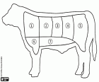 Un esquema gráfico simple de un despiece de carne de vacuno. Existen diferentes cortes según las tradiciones de diferentes países. La carne de vacuno es muy consumida en barbacoas