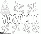 Yasamin, nombre femenino de origen persa, variante de Yasamen y Yasamine, entre otros. El origen y el significado de este nombre es la flor del jazmín
