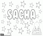 Sacha, nombre unisex en diferentes idiomas, variante de Sasha, Sascha, Sasja y Saša, diminutivos de origen ruso para Alejandro y Alejandra