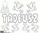 Tadeusz, variante de Taddeusz, nombre bíblico masculino de origen arameo, Thaddai, nombre en polaco y en francés, variante del nombre griego Thaddaios y del nombre latinizado Thaddeus, Tadeo
