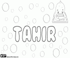 Tahir, variante de Taher, Tahar y Taheer, nombre de origen islámico para niño, su significado es virtuoso, nombre utilizado en varios idiomas como turco, árabe, hindi, urdu y bosnio, entre otros