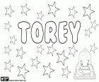 Torey, nombre en inglés utilizado tanto para niño como para niña, con diferentes posibles orígenes. Por ejemplo, variante de Torry, nombre masculino de origen nórdico en danés y noruego. También variante de Torrey, nombre de origen gaélico que deriva de Torrence. Torey, variante de Tori, nombre japonés para niña que significa pájaro