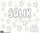 Salik, nombre masculino con diferentes orígenes y significados, también un apellido. Salik, nombre para niño muy popular en Groenlandia, su significado es el limpiador, y podría proceder de la mitología groenlandesa. Salik, nombre masculino de origen árabe, variante de Saliq