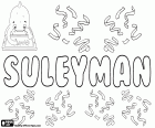 Suleyman, nombre turco para niño, variante de Solimán, Sulayman, Sulaiman y Suleiman, derivado del nombre de origen hebreo Shelomoh, Salomón, su significado es pacífico