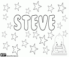 Steve, nombre en inglés para niño, forma corta que corresponde a Steven y a Stephen en inglés, derivado del nombre de origen griego, Stephanos. Esteban en español