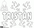 Tristan, nombre de origen celta para niño utilizado en muchos idiomas, como en inglés, francés, alemán, español y polaco, entre otros. También es un nombre para niña en inglés como variante de Trista y de Tristana