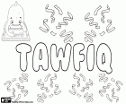 Tawfiq, nombre de origen árabe para niño, variante de Toufik, Taufik en indonesio y Tevfik en turco
