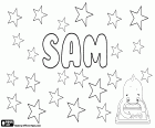 Sam, nombre inglés utilizado usualmente para niño y más raramente para niña, forma abreviada de otros nombres como Samuel, Samson y Samantha. Sam, variante de Saam, nombre masculino que proviene de la mitología persa