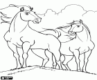 Los caballos Spirit y Lluvia, el joven caballo y la joven yegua son dos protagonistas de la película Spirit, el corcel indomable