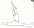 Una muchacha realizando un spagat o split, una apertura de piernas. El spagat es un ejercicio que se realiza en varias actividades deportivas como la gimnasia, el ballet y el yoga entre otros