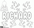 Richard, nombre masculino de origen germánico en muchas lenguas como inglés, alemán, francés, rumano, húngaro, checo, eslovaco y holandés