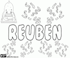 Reuben, variante de Reuven y Reubhen, nombre para niño de origen hebreo, corresponde a Rubén