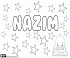 Nazim, variante de Nazem, Nadhem o Nadhim, transcripciones del nombre árabe para chico que significa poeta