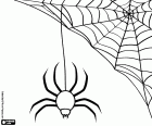 Una telaraña con una enorme araña, dos elementos decorativos para las fiestas de Halloween