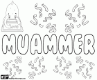 Muammer, nombre turco para niño, variante de Muamer y Muammar, nombre de origen árabe que significa que tenga larga vida