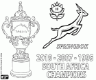 Sudáfrica es el nuevo campeón del mundo de rugby 2019. Los Springboks han conseguido su tercer título mundial después de los títulos de 1995 y 2007
