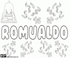 Romualdo, nombre de origen germánico, en varios idiomas como español, portugués e italiano, derivado de la forma latina medieval Romualdus