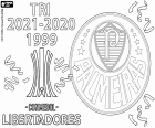 La Sociedade Esportiva Palmeiras ha conseguido su tercer título de campeón de la Copa Libertadores. El Palmeiras ha vencido en la final al Flamengo por 2-1 con goles de Raphael en el minuto 5 y el gol decisivo de Deyverson en el minuto 95, y en el minuto 72 gol de Gabriel Barbosa para el equipo carioca