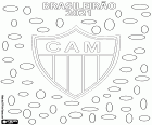 Clube Atlético Mineiro es el campeón del Brasileirão 2021, la Série A del Campeonato Brasileño. Este es el segundo título del club de Belo Horizonte después del conseguido cincuenta años atras, en 1971