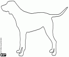 Un dibujo para colorear con la silueta de un perro grande con la cola horizontal, una muestra de que el perro está interesado en algo