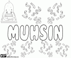 Muhsin, nombre masculino en árabe y turco, variante de Muhsen, Mohsen y Mohsin, su significado es benefactor