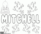 Mitchell y su variante Mitchel, nombre masculino en inglés, escocés e irlandés, tiene diferentes origenes etimológicos, todos ellos derivados de los nombres Michael o Michel