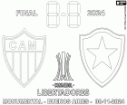 Atlético Mineiro contra Botafogo, la final de la Copa Libertadores 2024, Estadio Monumental de Buenos Aires, Argentina
