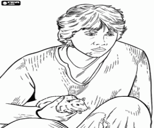 Colorear Ron con la ratita en la mano