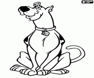 Colorear Scooby Doo como perro obediente