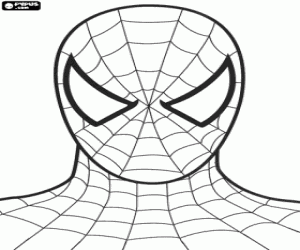 Colorear Spiderman o Spider Man