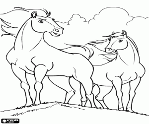 Colorear Spirit y Lluvia, caballo y yegua