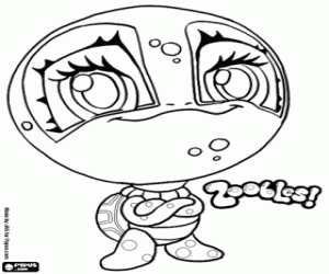 Colorear Tortuga, Zooble de Petagonia