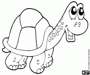 Colorear Tortuga