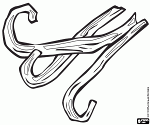 Colorear Tres vainas de vainilla