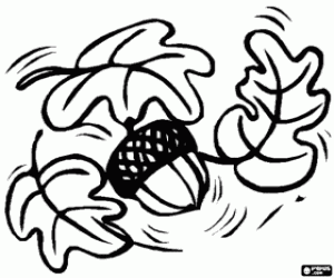 Colorear Unas hojas de roble y una bellota