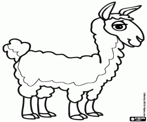 Colorear Una vicuña de los Andes