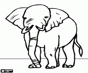 Colorear Viejo elefante