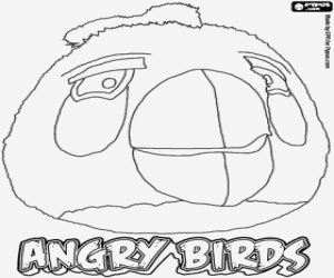 Colorear White Bird, Angry Birds