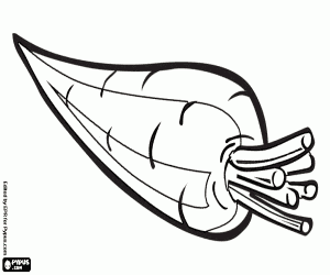 Colorear Zanahoria, una raíz, una verdura