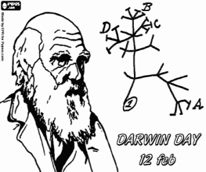 Colorear Árbol de la evolución de Darwin