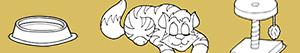 Colorear Gatito. Gato joven